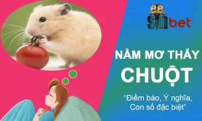 Hình tượng con chuột và ý nghĩa trong cuộc sống